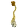 A dried Golden Teacher magic mushroom