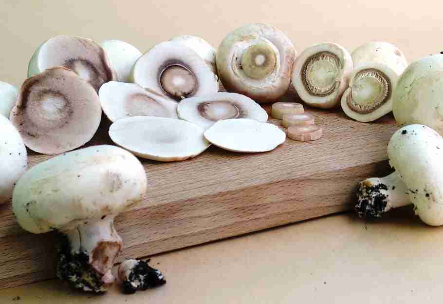 mushrooms-cutting