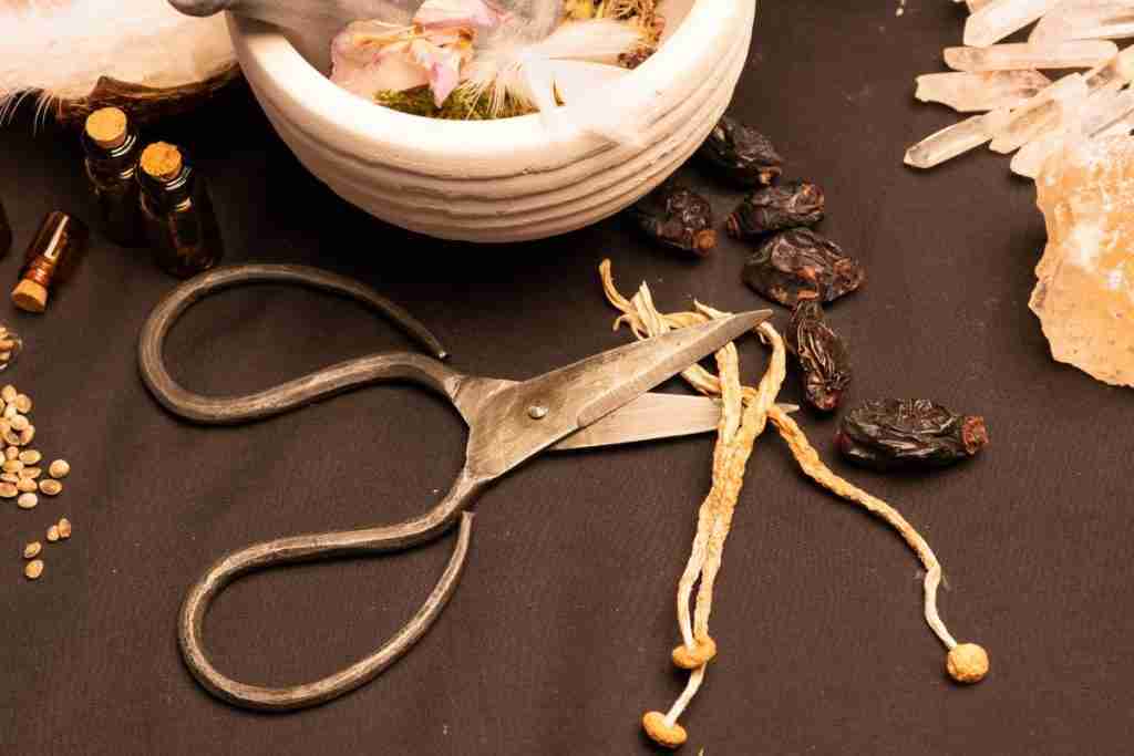 microdosing magic mushrooms