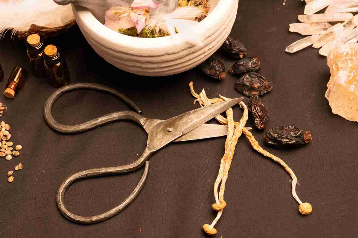 microdosing magic mushrooms