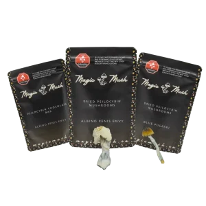visual trip bundle product