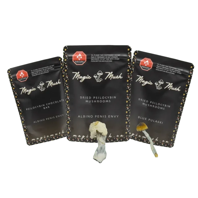 Visual Trip Bundle
