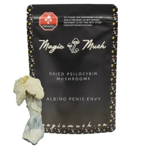 albino penis envy-min with shroom