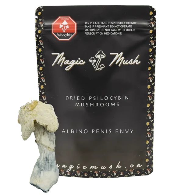Albino Penis Envy