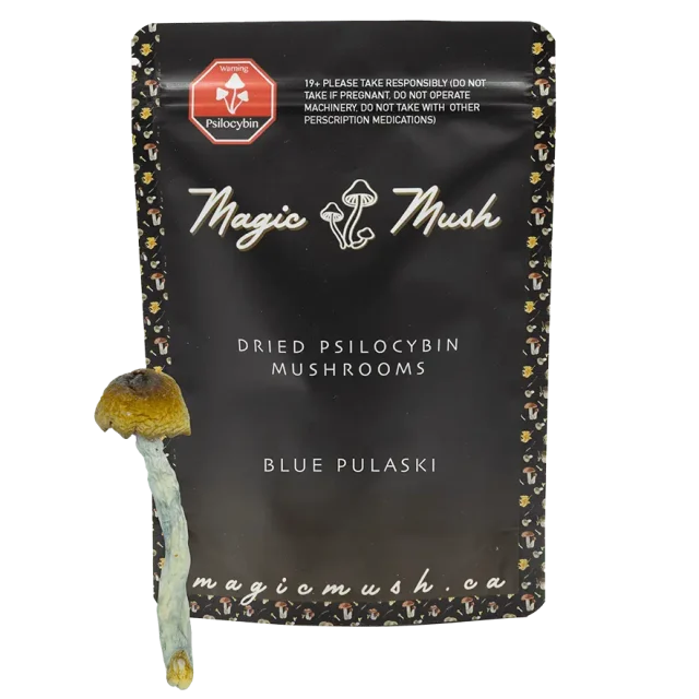 Blue Pulaski