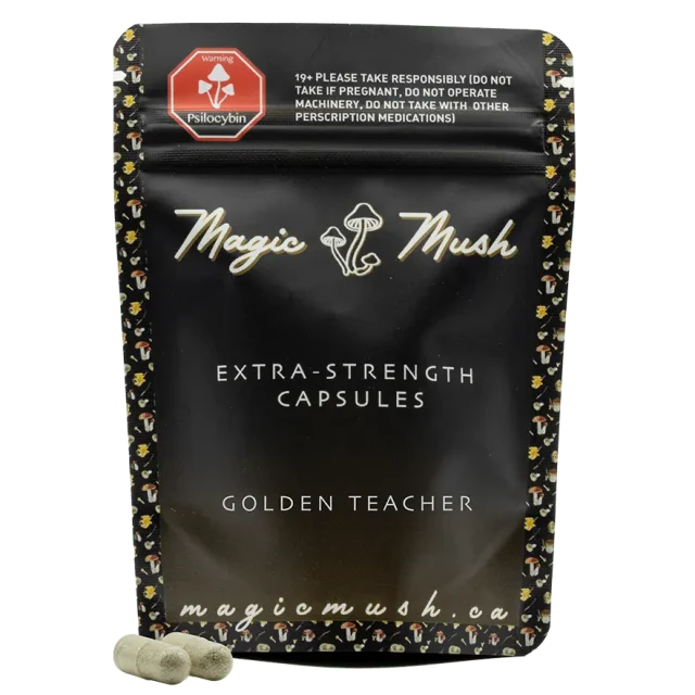 Extra-Strength Golden Teacher Capsule