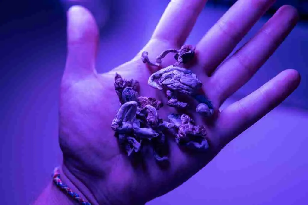 The Benefits and Risks of Using Magic Mushrooms for Social Anxiety​