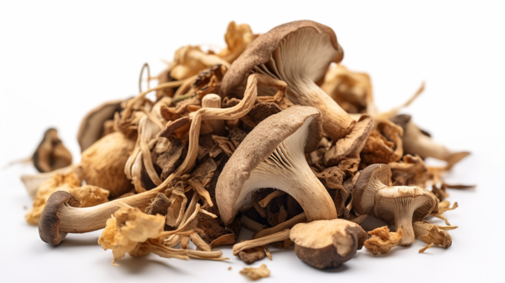 Dried_Magic_Mushroom