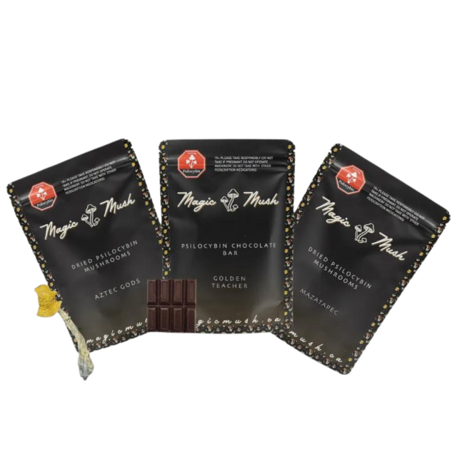 Forest Explorer Bundle