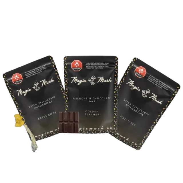 Forest Explorer Bundle