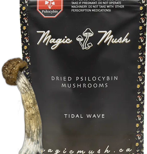 Tidal Wave