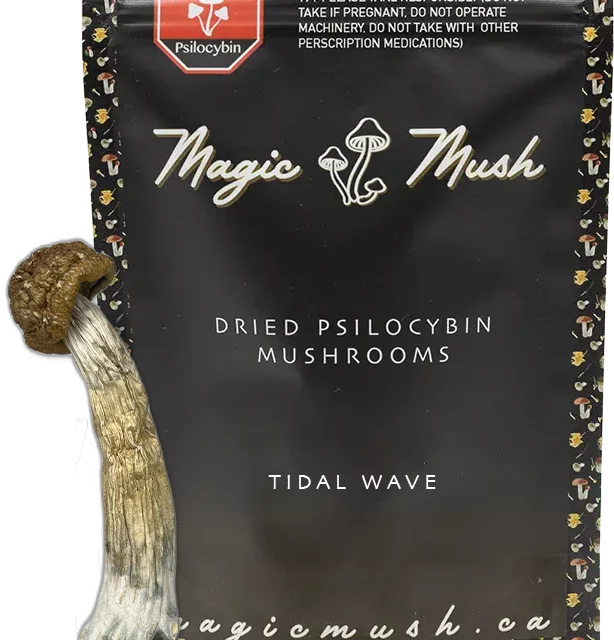Tidal Wave