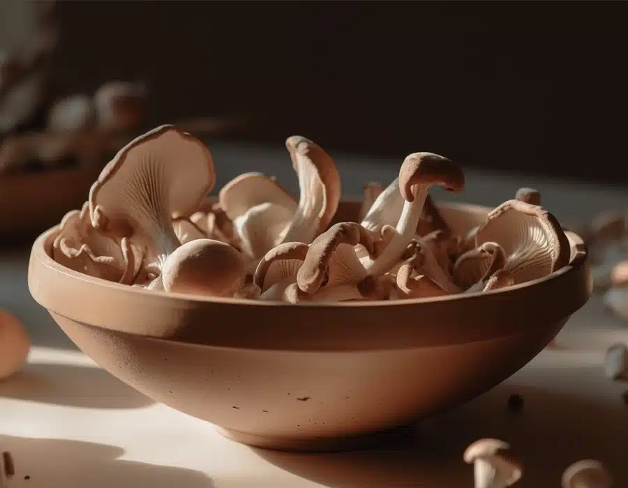 A bowl of mushrooms