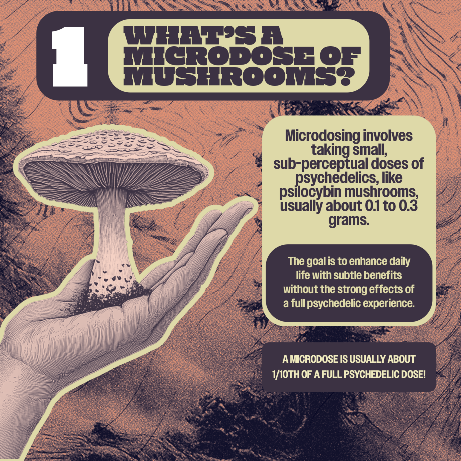 The Ultimate Psilocybin Microdosing Guide: Benefits, Risks & How to Get ...